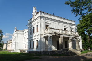 Дворец Терещенко, Андрушевка